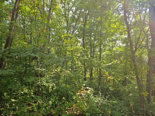 $13,500 | 241 Blackhawk Trace, Galena, IL 61036