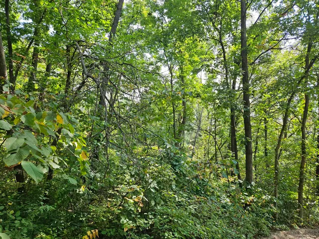 $13,500 | 241 Blackhawk Trace, Galena, IL 61036