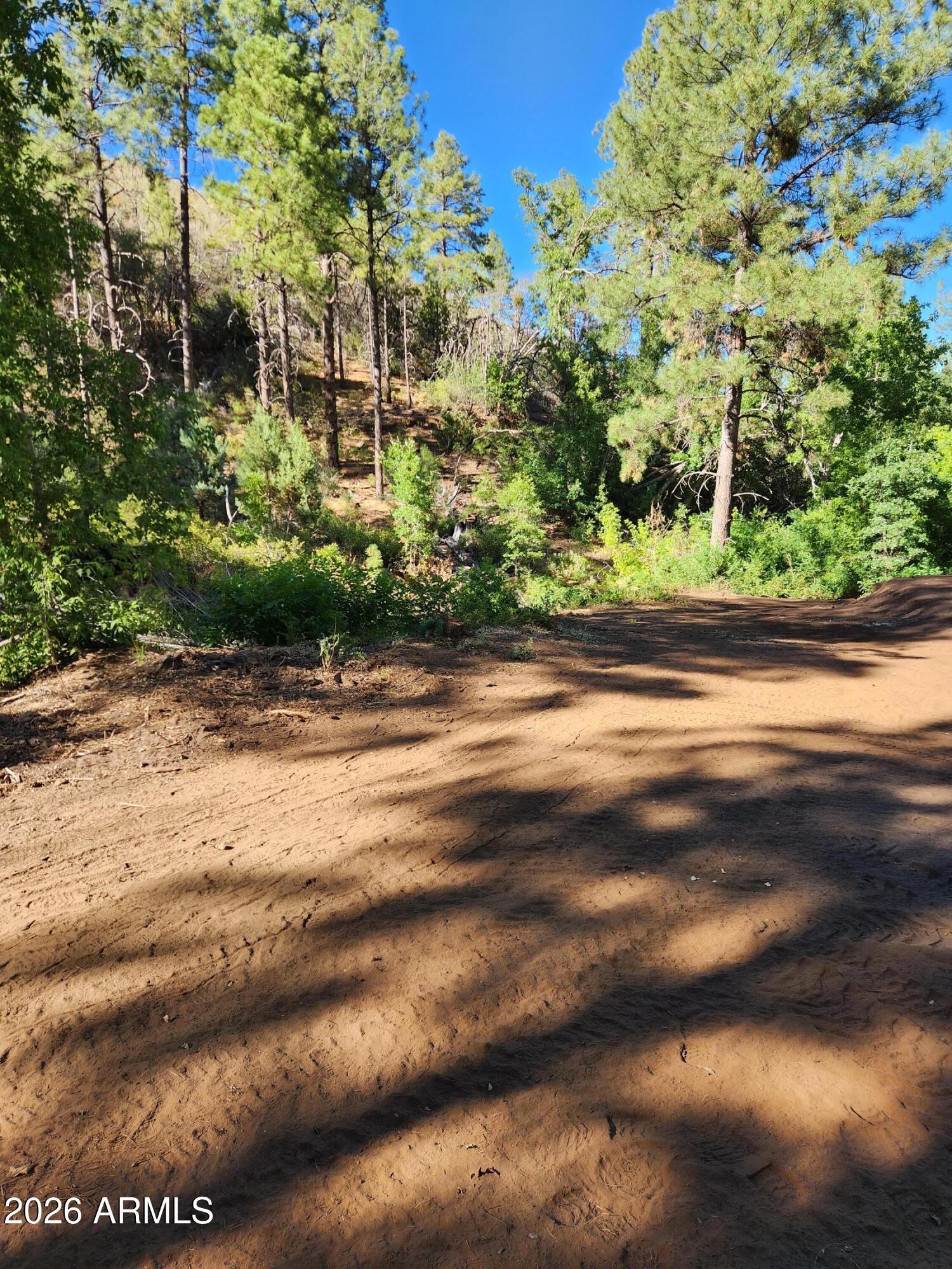 0 South Alexandra Road Crown King, AZ 86343 - Photo 11 of 15 a view of a yard with plants and trees