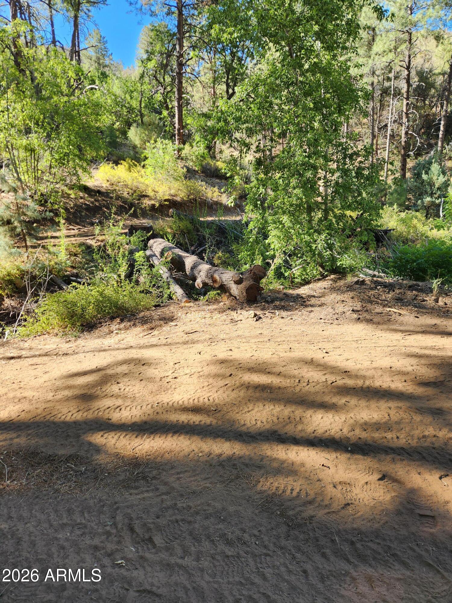 0 South Alexandra Road Crown King, AZ 86343 - Photo 12 of 15