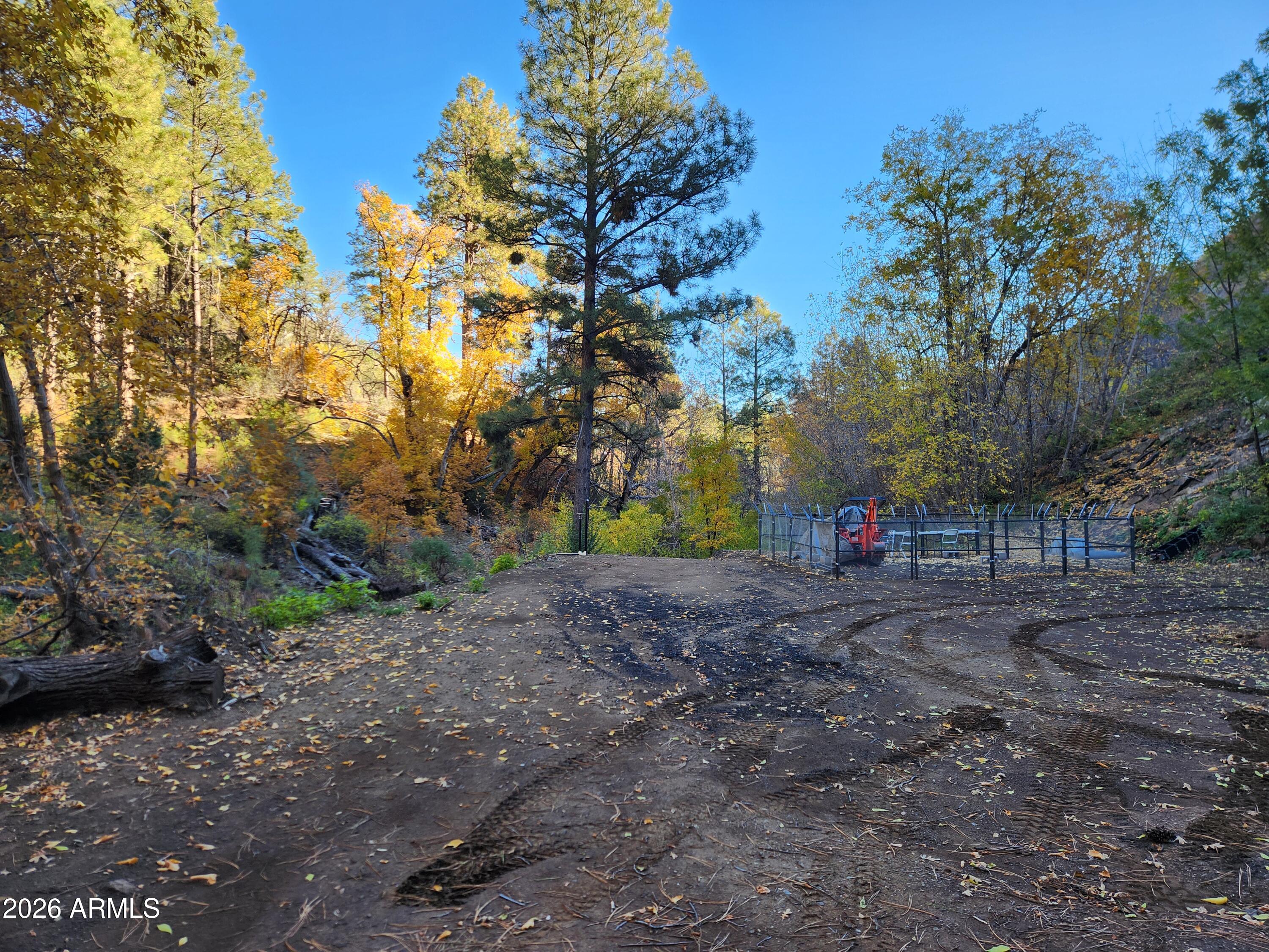 0 South Alexandra Road Crown King, AZ 86343 - Photo 13 of 15 a view of a yard with plants and trees