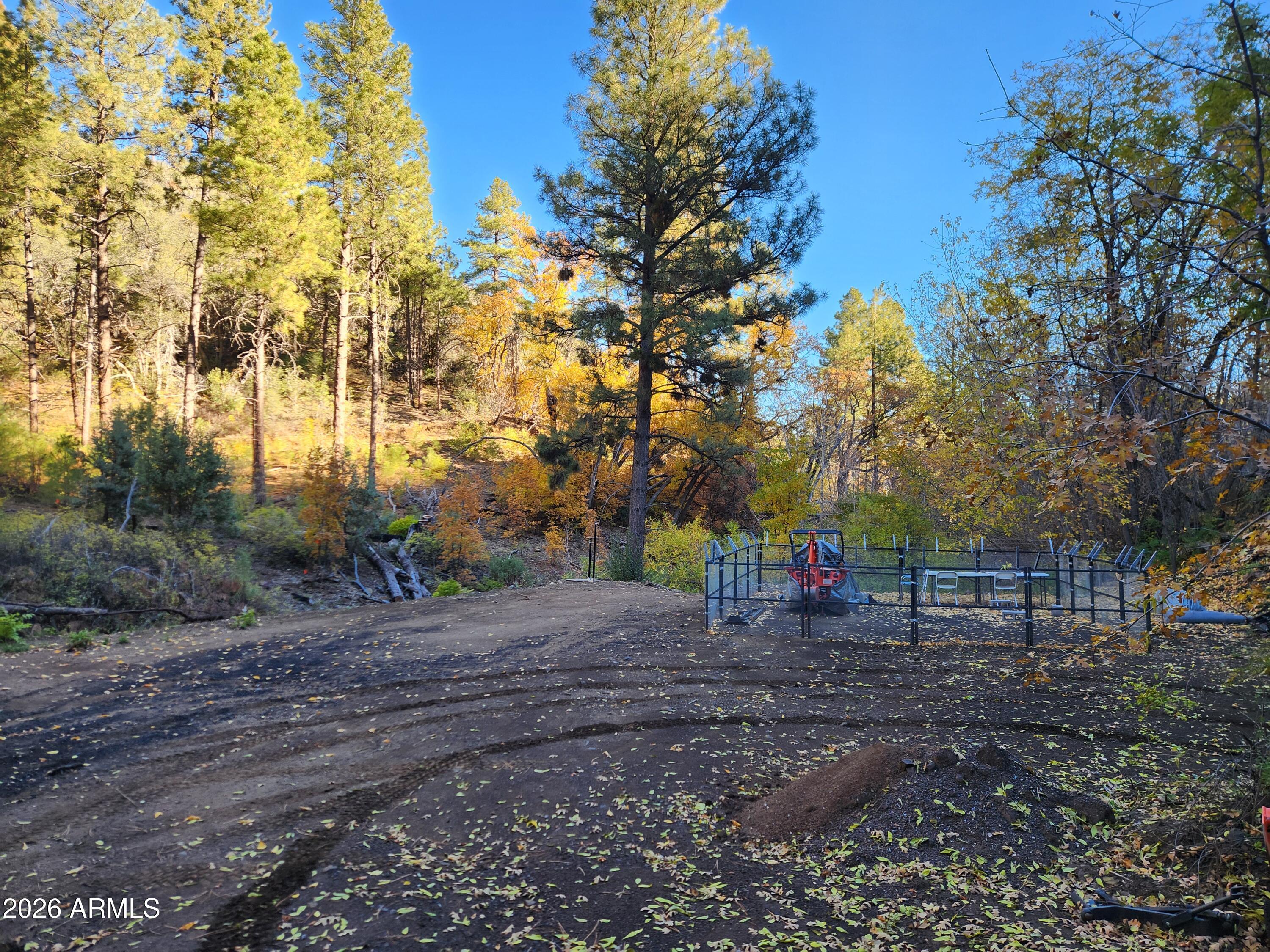 0 South Alexandra Road Crown King, AZ 86343 - Photo 14 of 15 a view of a yard with trees