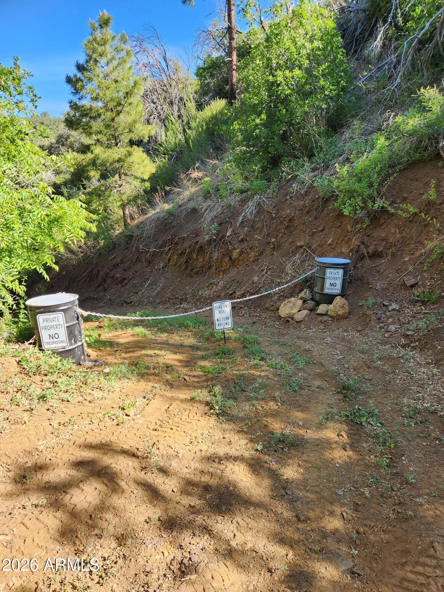 0 South Alexandra Road Crown King, AZ 86343 - Photo 2 of 15 a backyard of a house with lots of green space