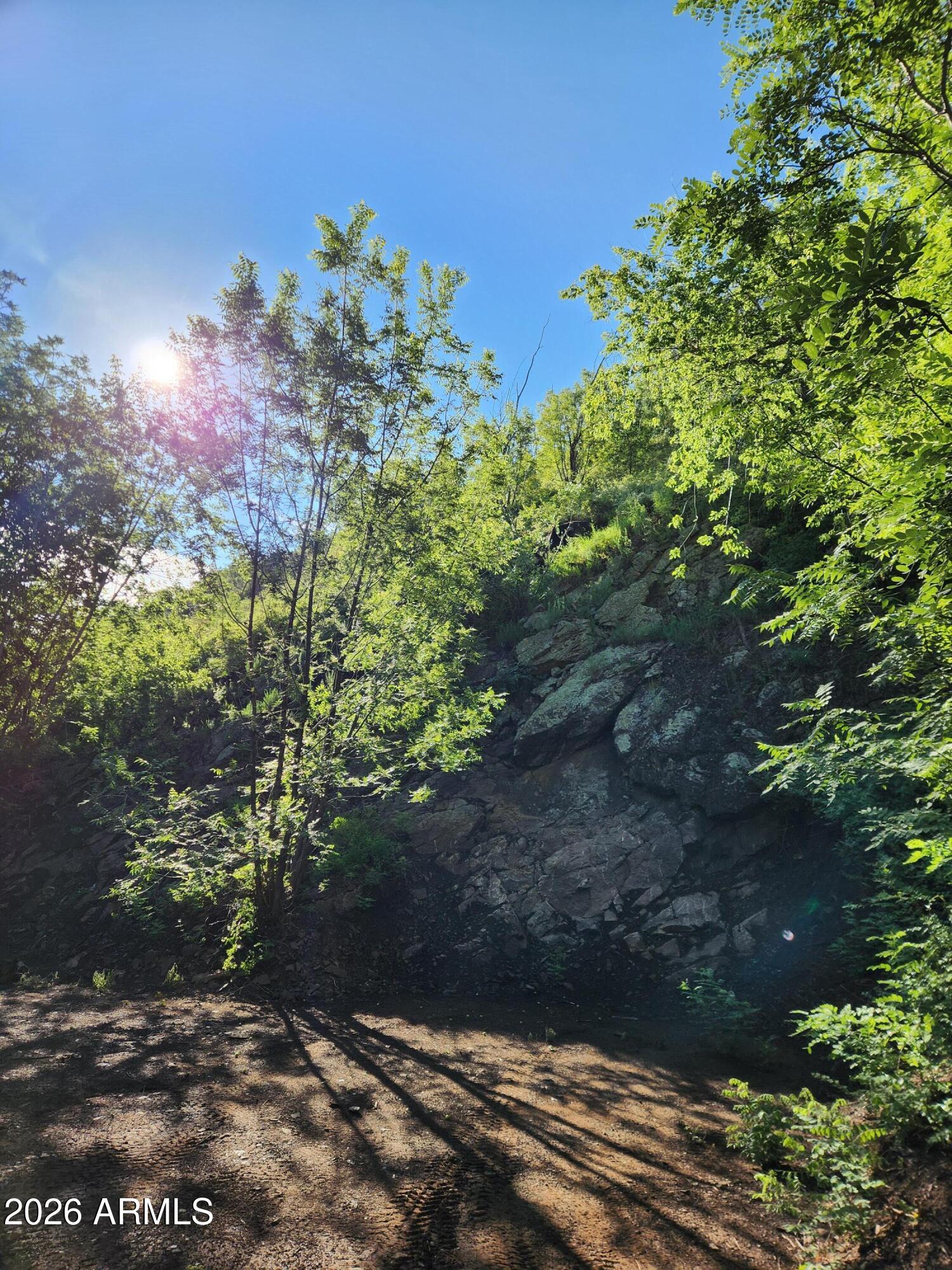 0 South Alexandra Road Crown King, AZ 86343 - Photo 6 of 15