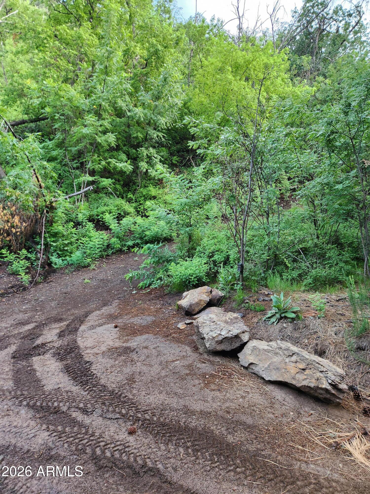 0 South Alexandra Road Crown King, AZ 86343 - Photo 8 of 15