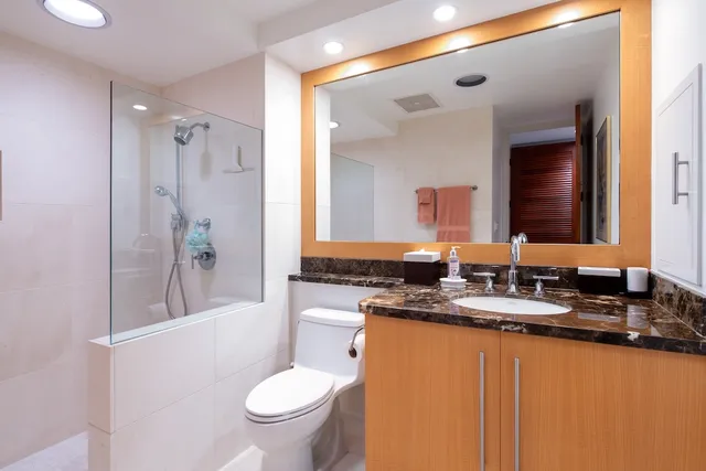 a bathroom with a toilet a sink and mirror