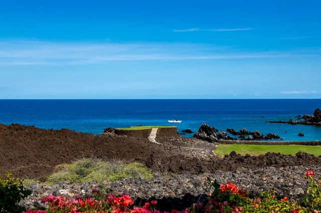 a view of a yard with an ocean