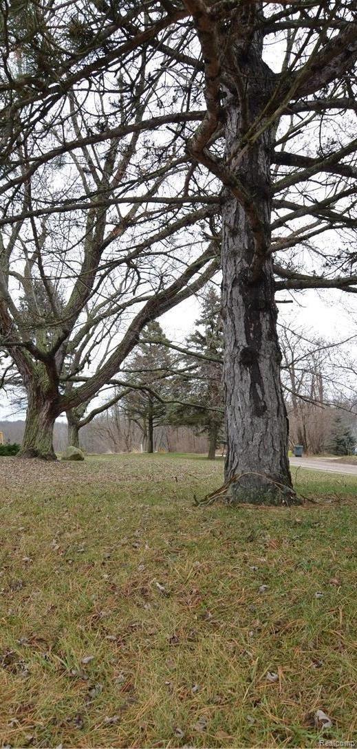 2130 Houser Road Holly, MI 48442 - Photo 19 of 21 ENCHANTING MATURE TREES