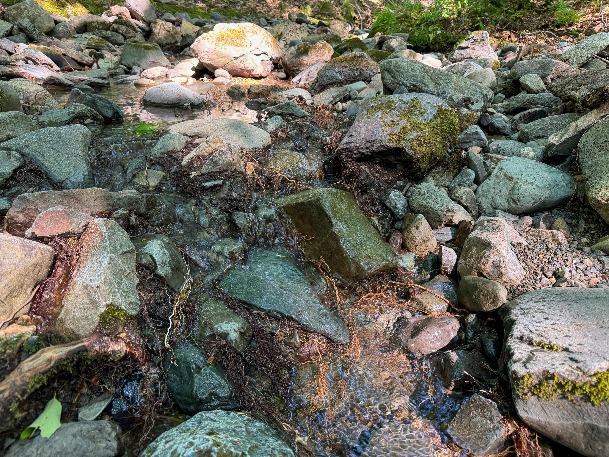 M8-l4 Mountain Road Mount Chase, ME 04765 - Photo 20 of 35 20