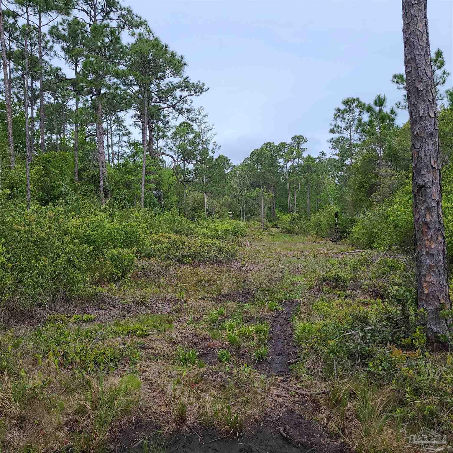 9800 South Loop Road Pensacola, FL 32507 - Photo 12 of 13 Gallery Image 12