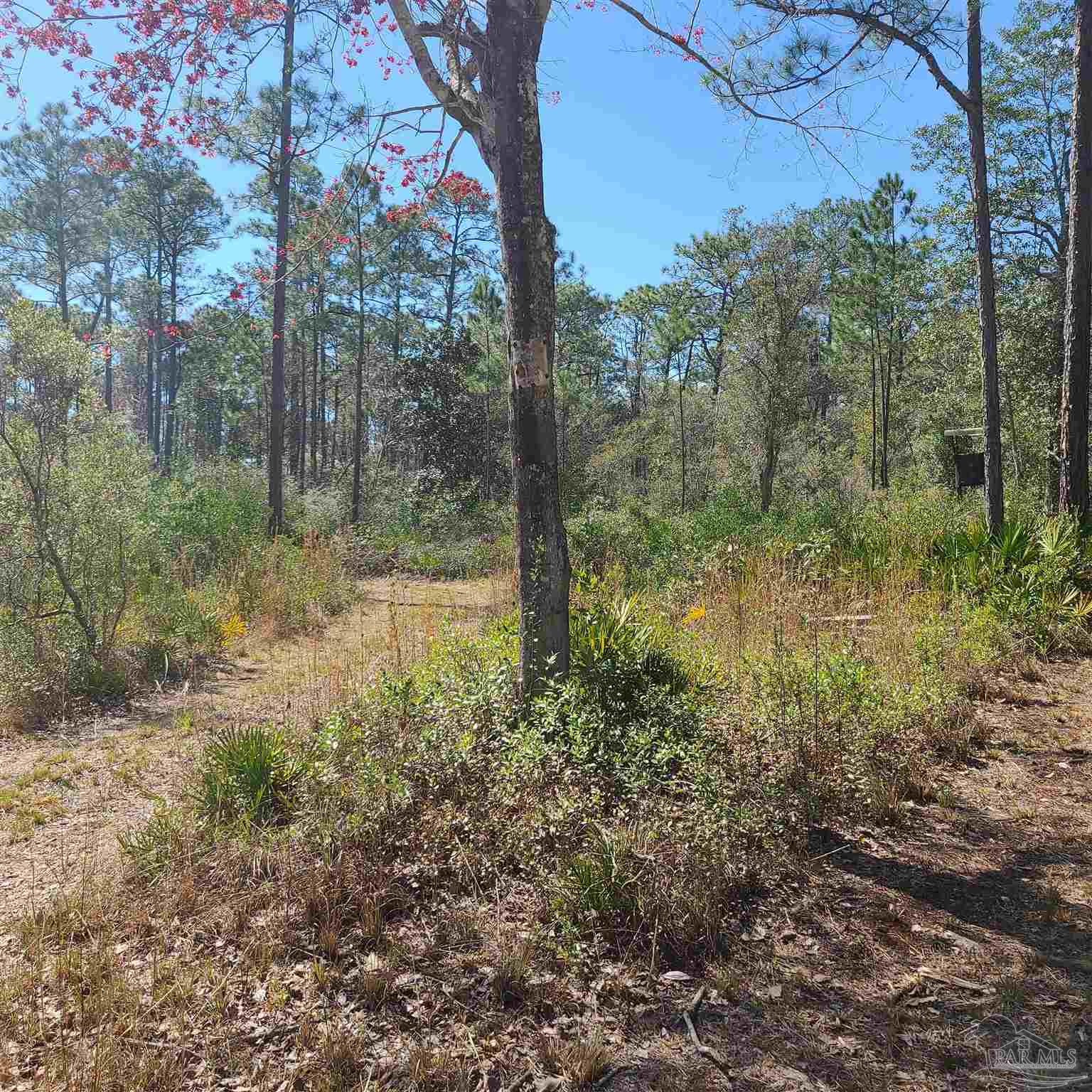 9800 South Loop Road Pensacola, FL 32507 - Photo 3 of 13 Gallery Image 3