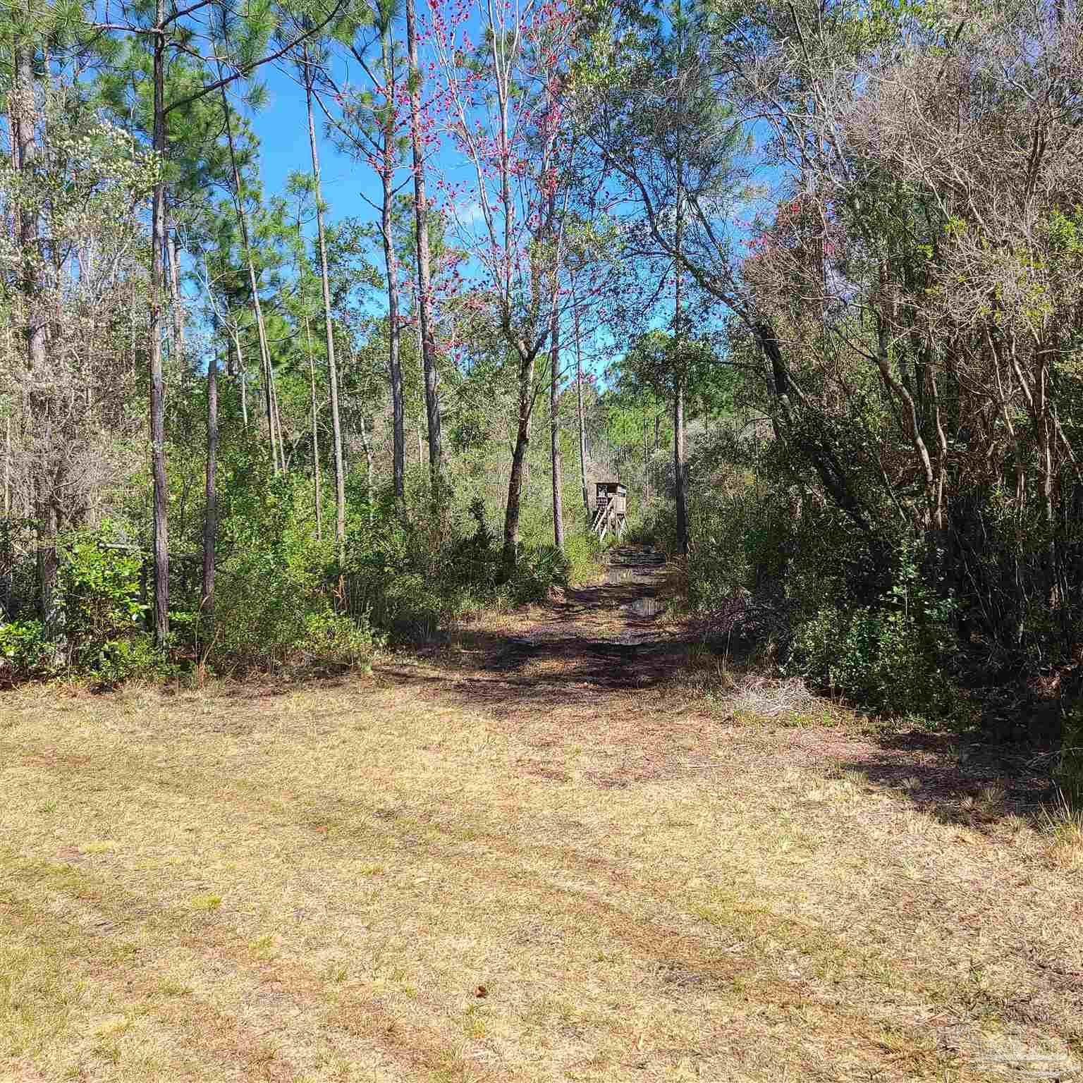 9800 South Loop Road Pensacola, FL 32507 - Photo 4 of 13 Gallery Image 4
