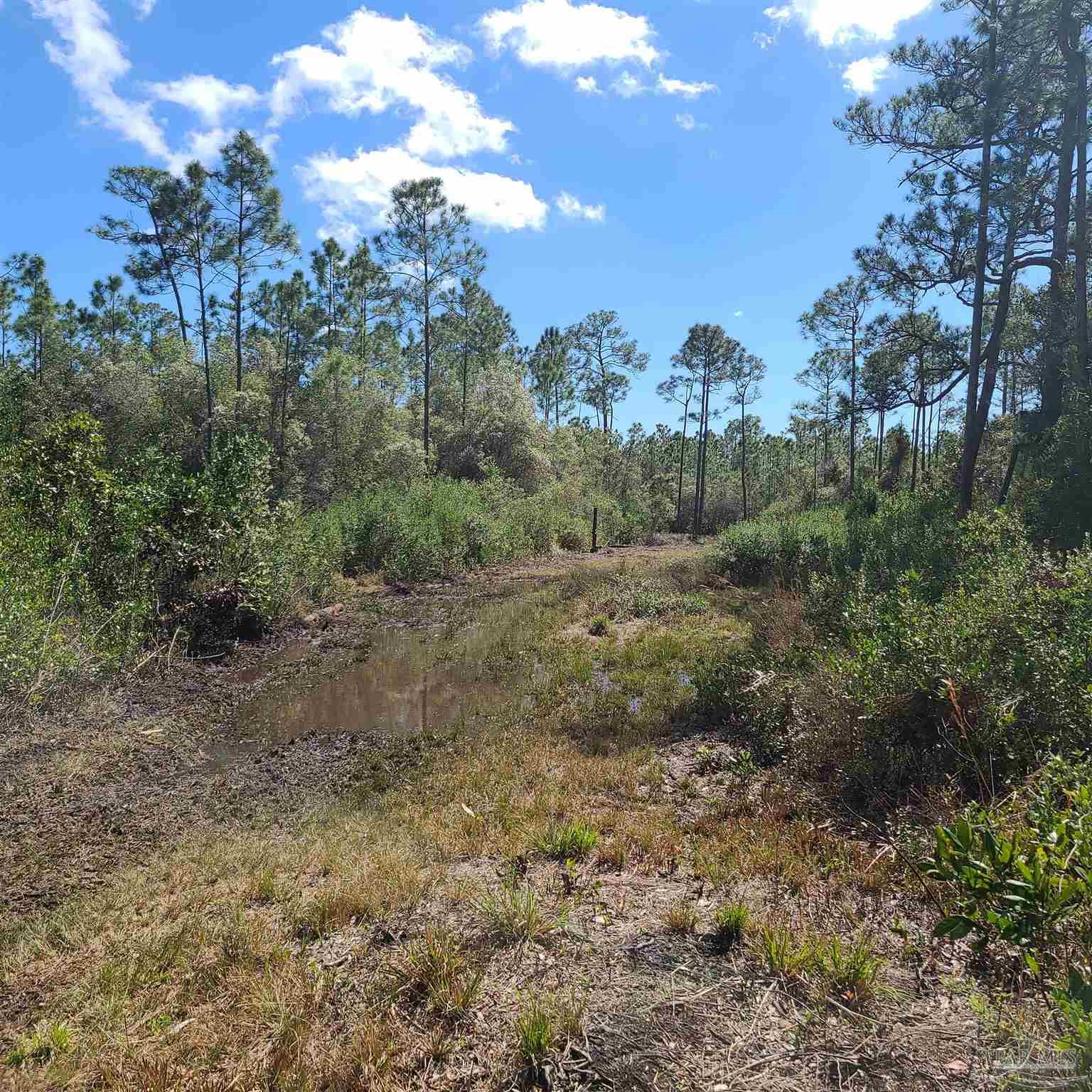 9800 South Loop Road Pensacola, FL 32507 - Photo 5 of 13 Gallery Image 5