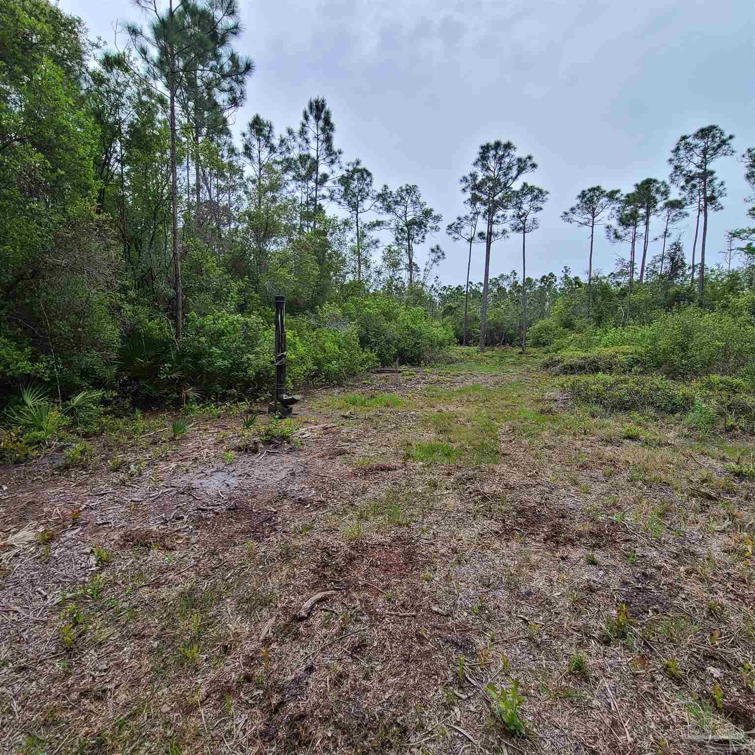 9800 South Loop Road Pensacola, FL 32507 - Photo 10 of 13 Gallery Image 10
