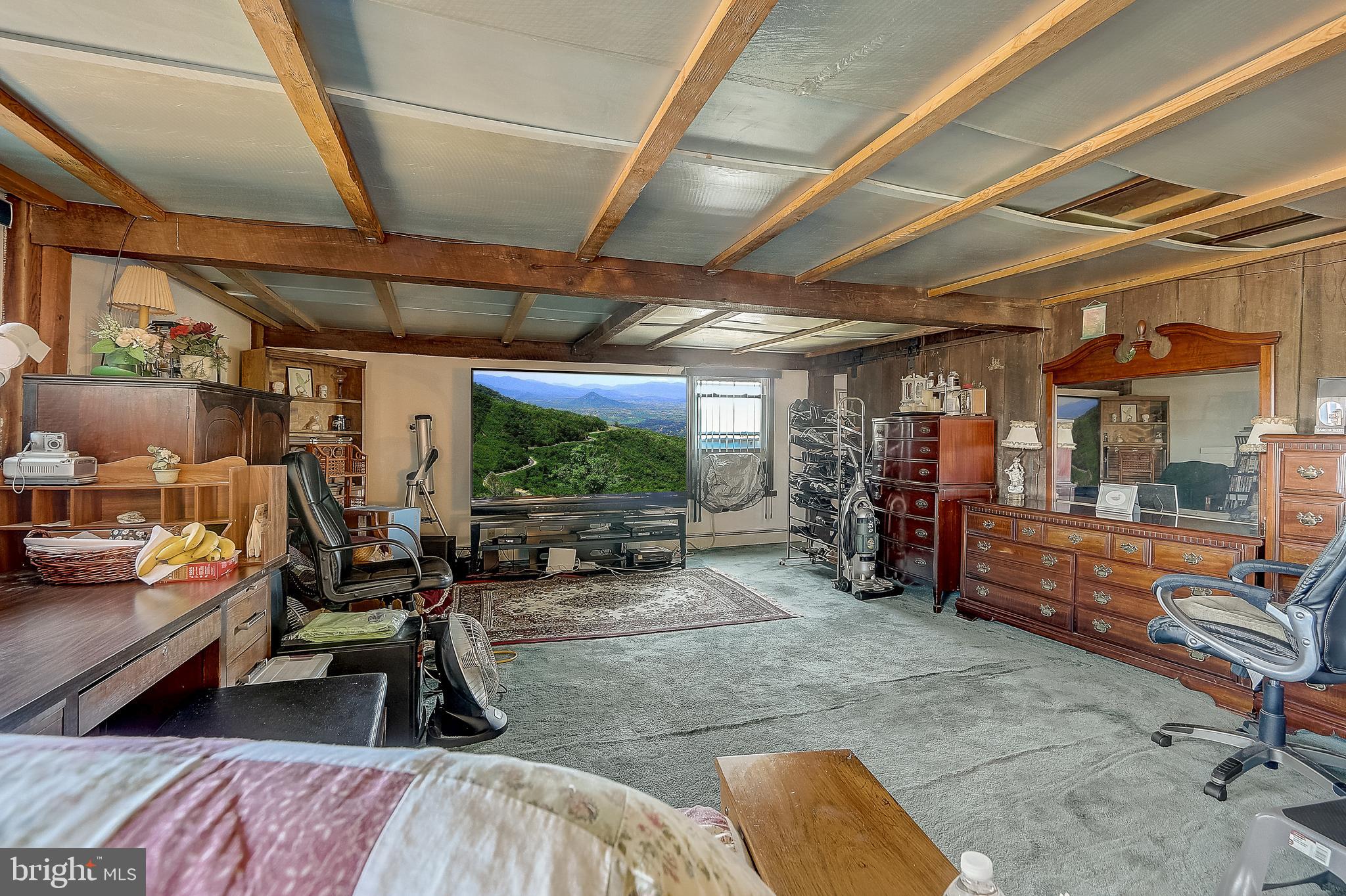 4329 Madonna Road Street, MD 21154 - Photo 43 of 89 Gallery Image 43