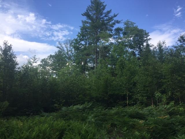 999 Kimball Schoolhouse Road Mercer, ME 04957 - Photo 2 of 13 image001