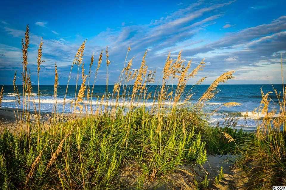 2442 Rock Dove Road Myrtle Beach, SC 29577 - Photo 15 of 17 Gallery Image 15