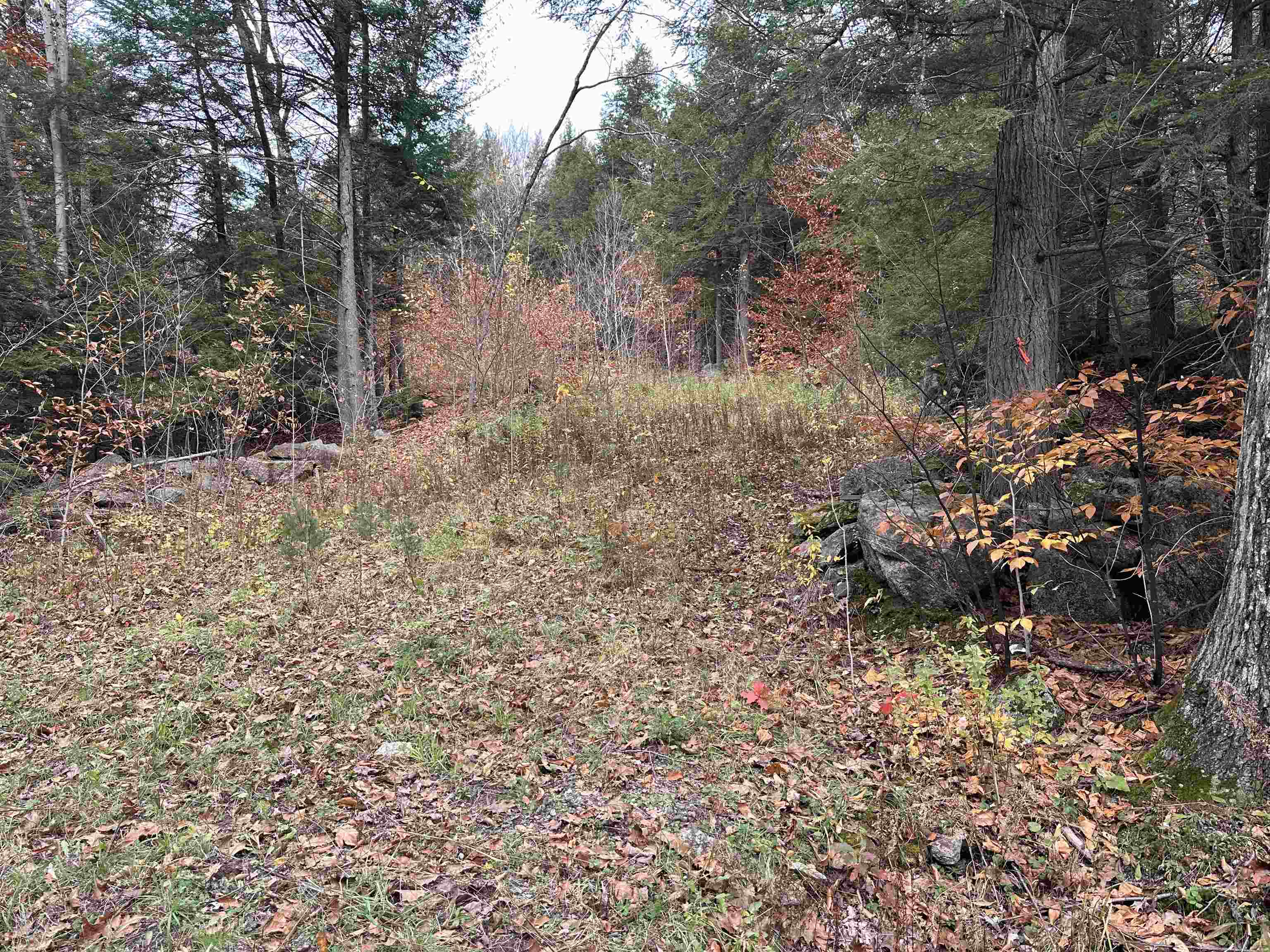 102 Colburn Farm Road Newbury, NH 03255 - Photo 3 of 9 Gallery Image 3