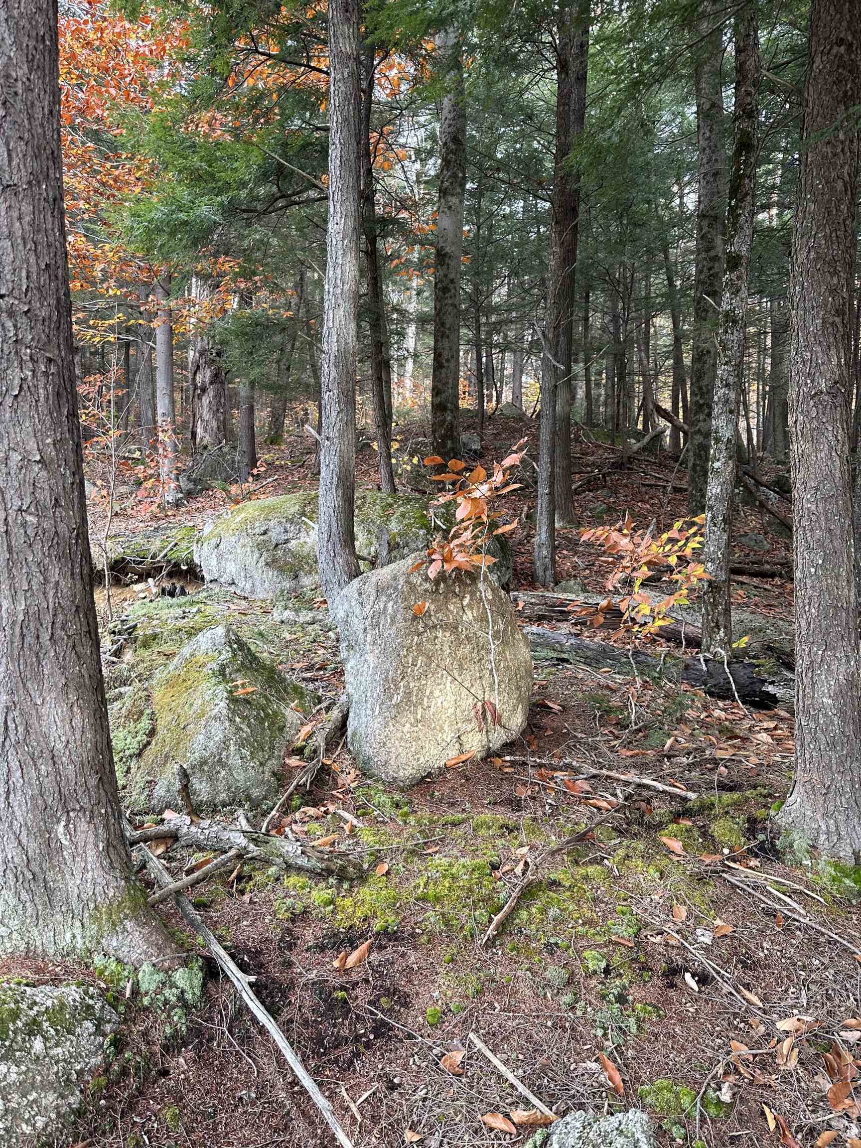 102 Colburn Farm Road Newbury, NH 03255 - Photo 4 of 9 Gallery Image 4