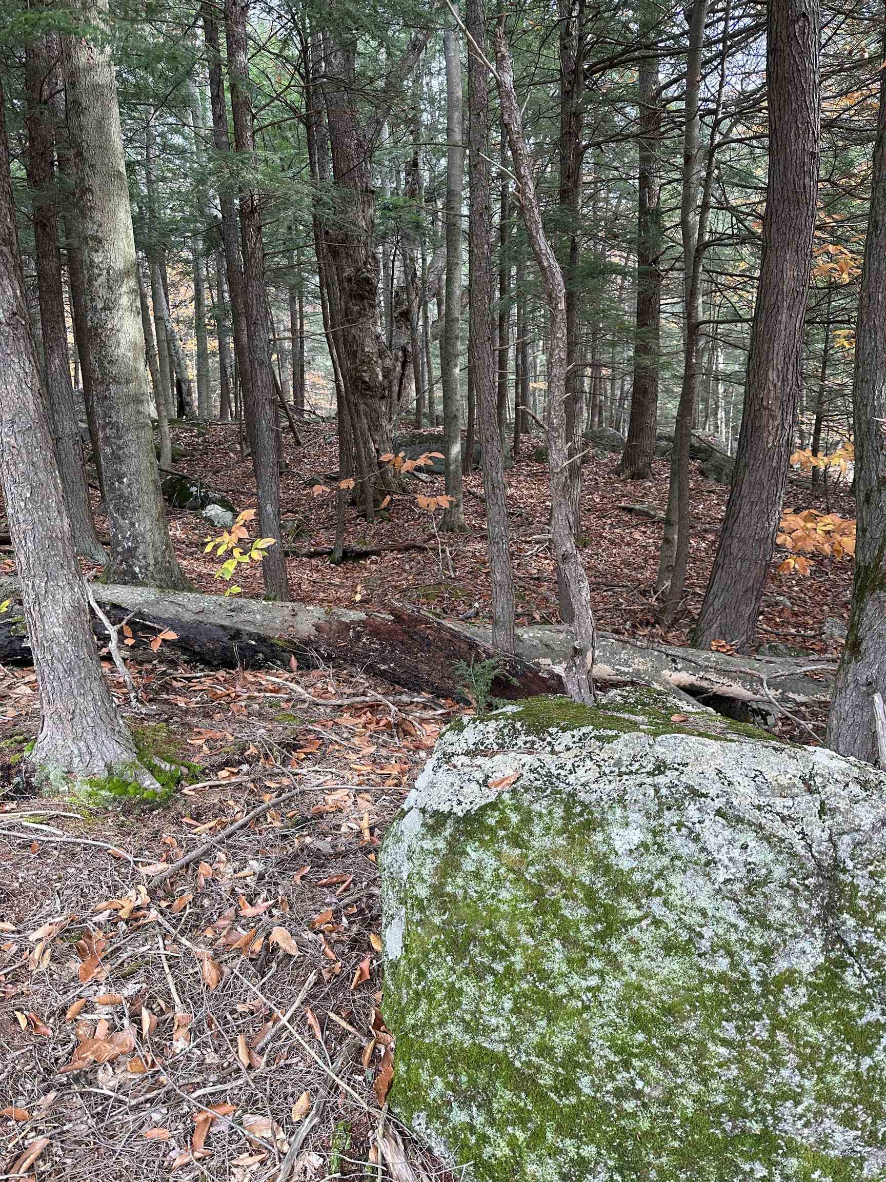 102 Colburn Farm Road Newbury, NH 03255 - Photo 5 of 9 Gallery Image 5