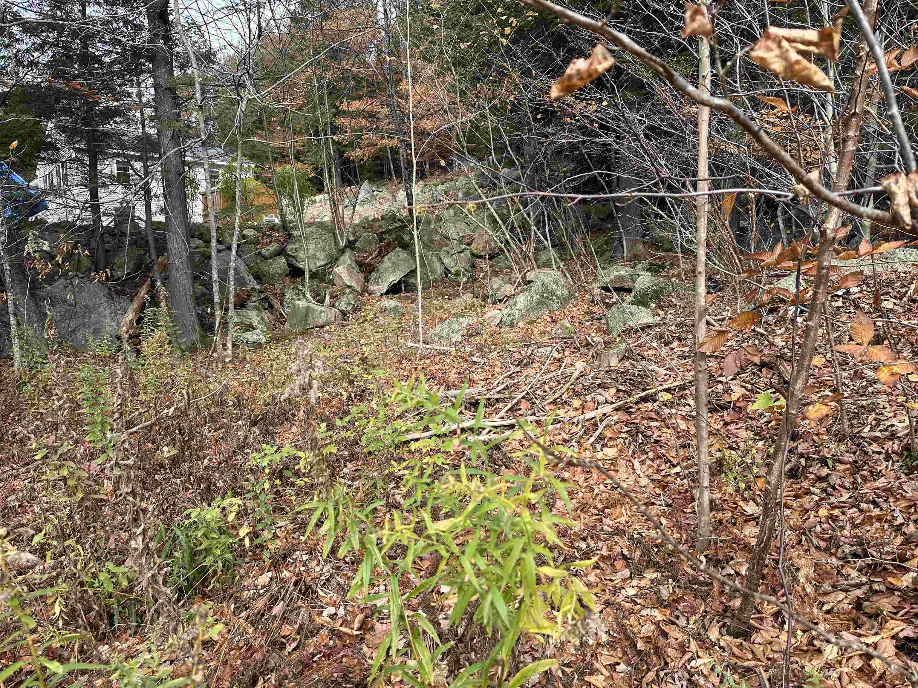 102 Colburn Farm Road Newbury, NH 03255 - Photo 6 of 9 Gallery Image 6