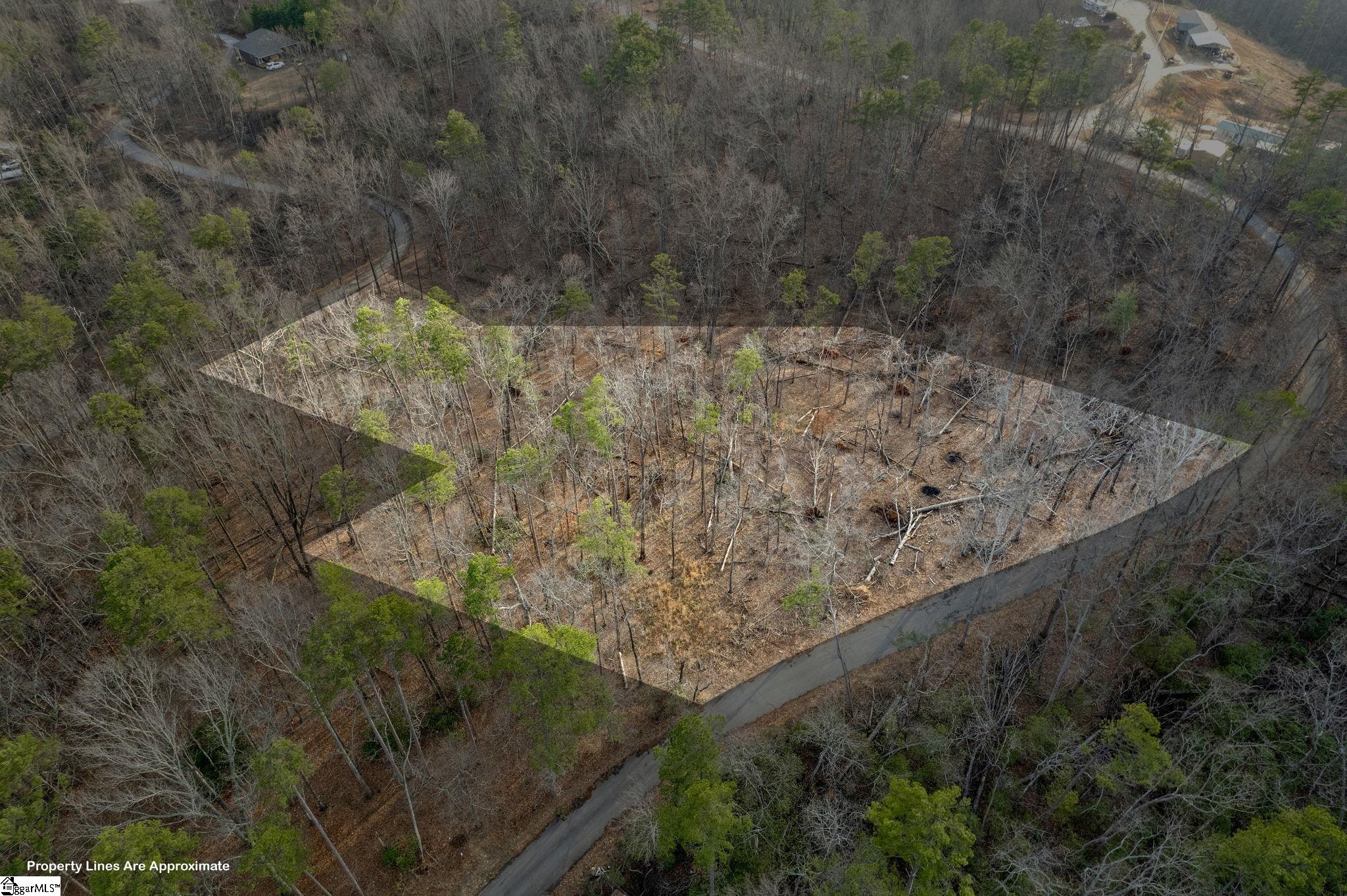 0 Range Trail Cleveland, SC 29635 - Photo 11 of 16 Gallery Image 11