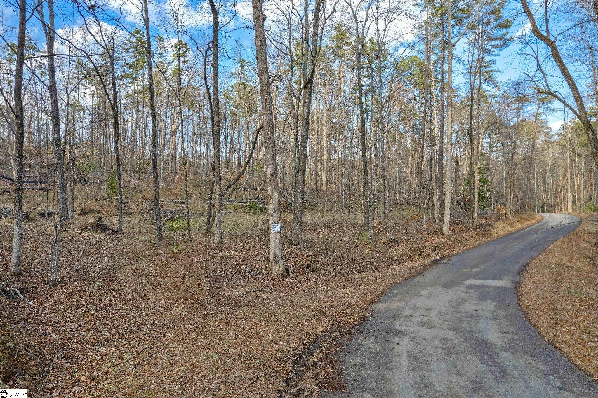 0 Range Trail Cleveland, SC 29635 - Photo 3 of 16 Gallery Image 3