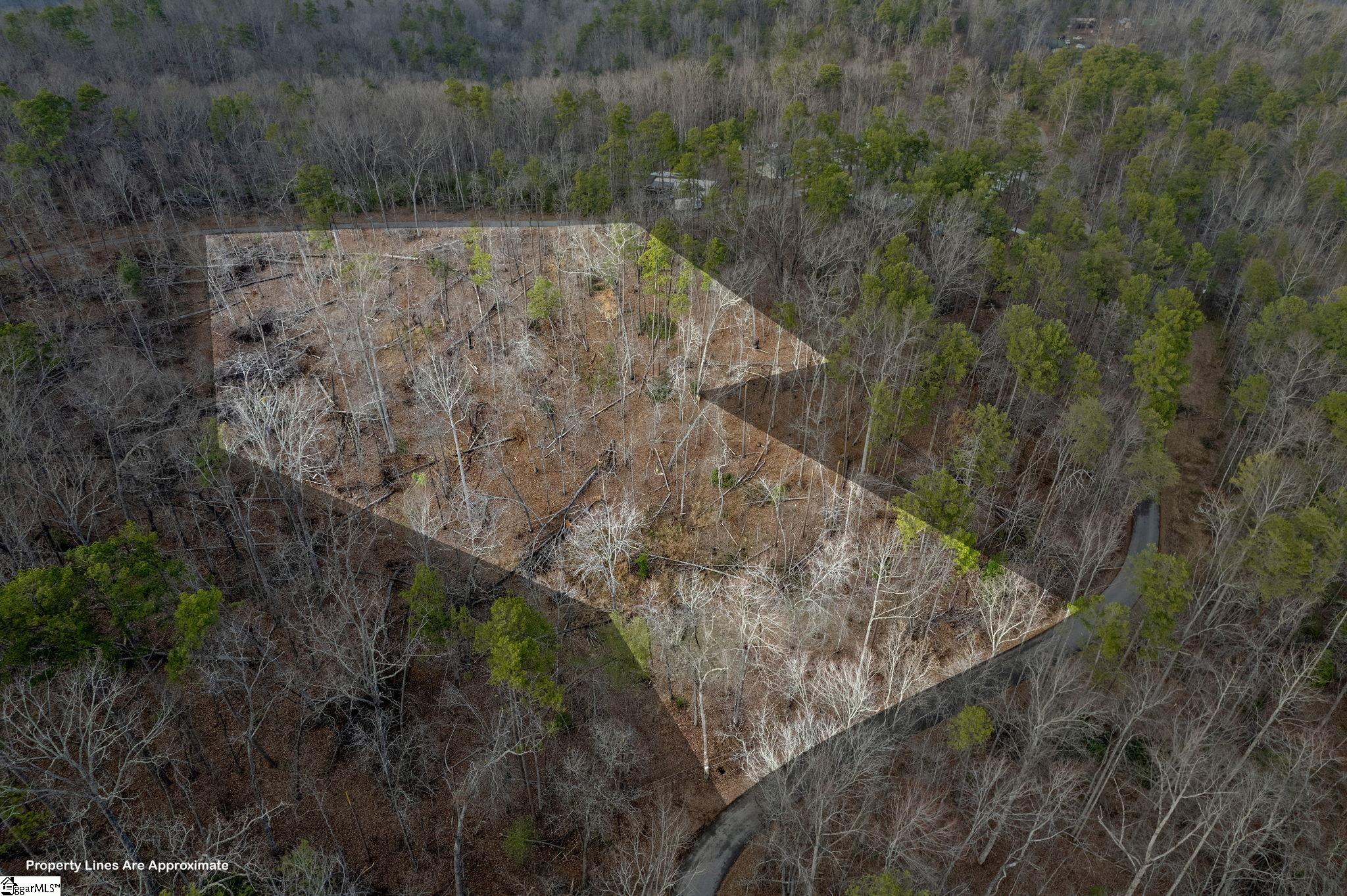 0 Range Trail Cleveland, SC 29635 - Photo 4 of 16 Gallery Image 4
