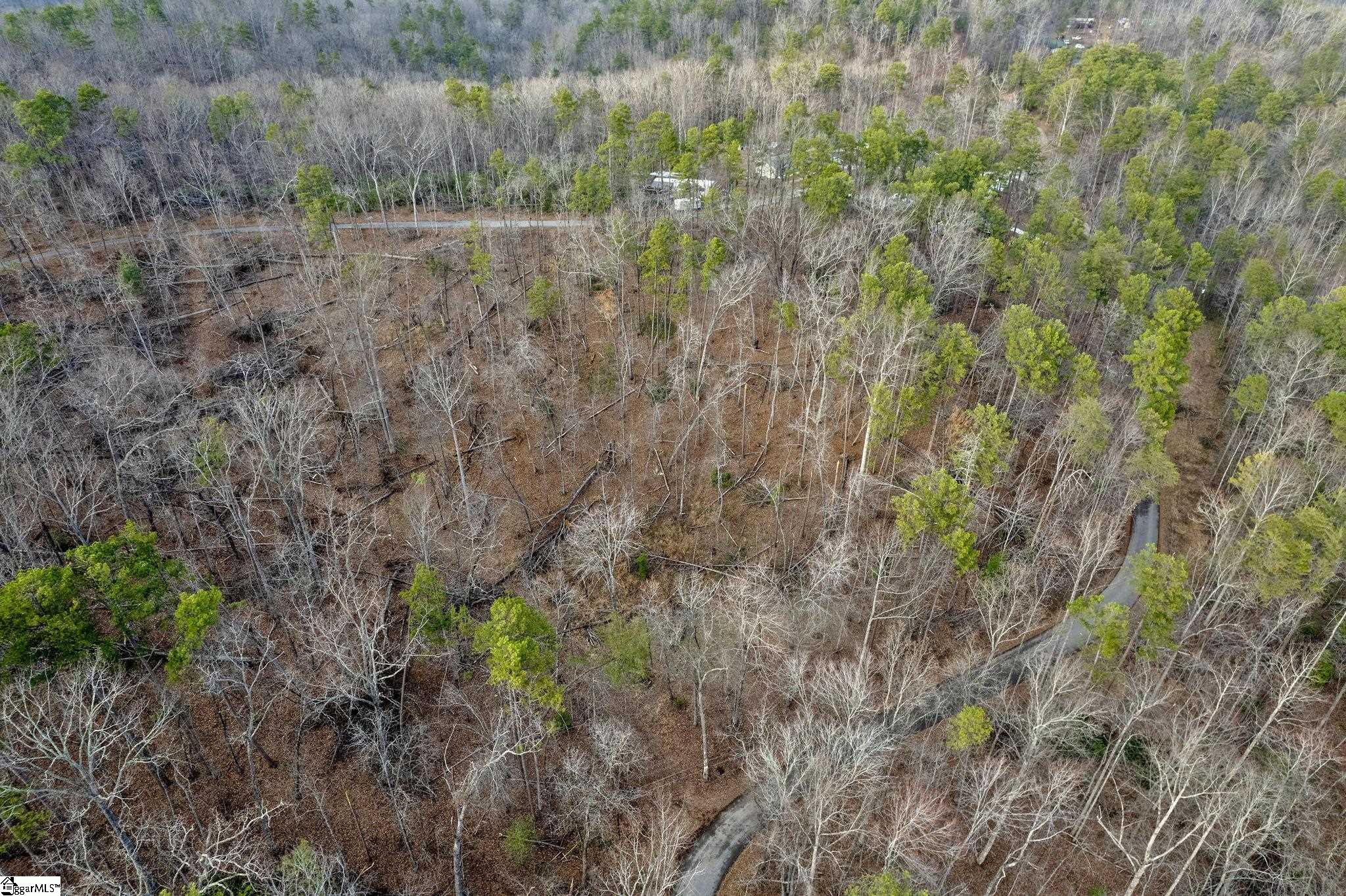 0 Range Trail Cleveland, SC 29635 - Photo 5 of 16 Gallery Image 5