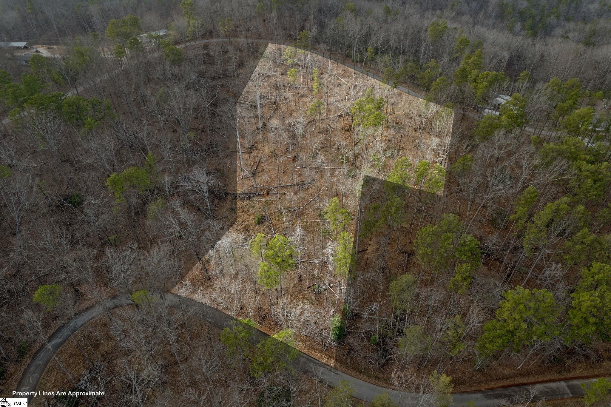0 Range Trail Cleveland, SC 29635 - Photo 7 of 16 Gallery Image 7