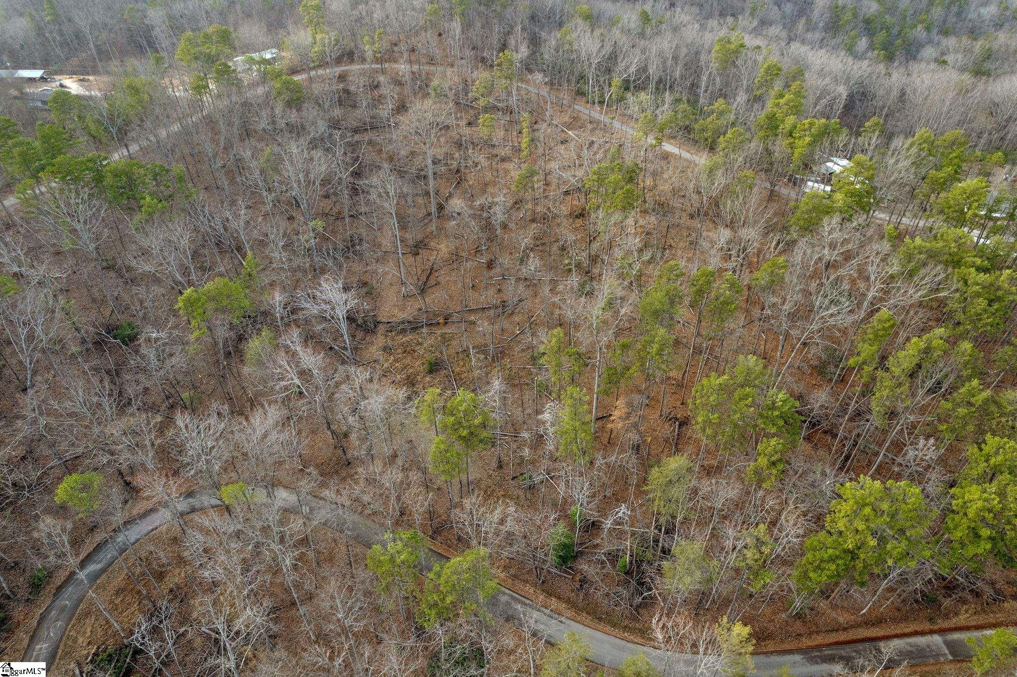 0 Range Trail Cleveland, SC 29635 - Photo 8 of 16 Gallery Image 8