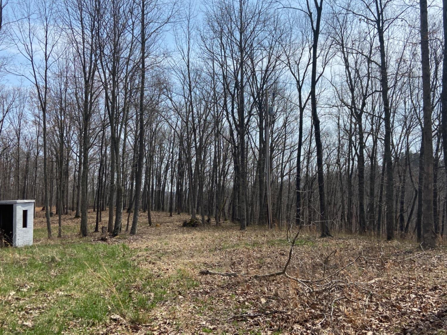 5308 Lower Cane Creek Road Stanton, KY 40380 - Photo 5 of 6 Photo 5
