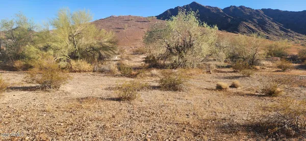 a view of a dry yard with mountains in the background