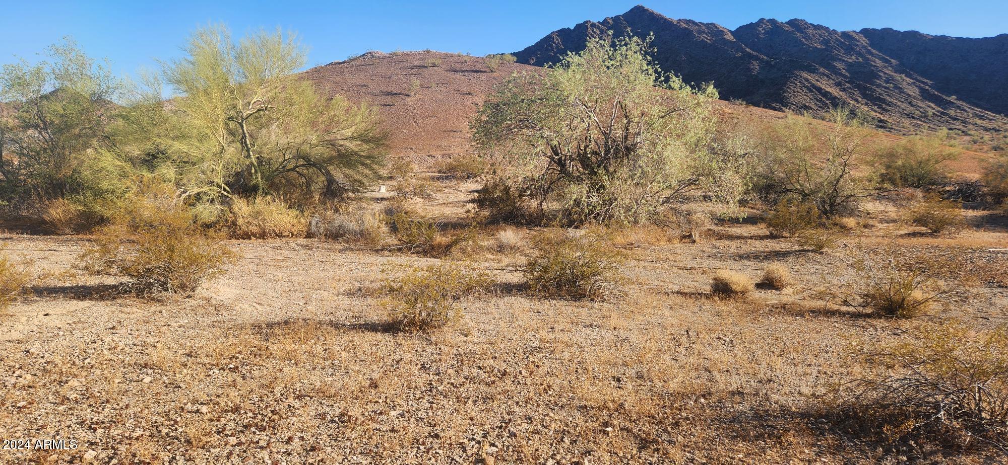 1925 Dome Rock Road West Quartzsite, AZ 85346 - Photo 9 of 12 a view of mountain view with mountains in the background