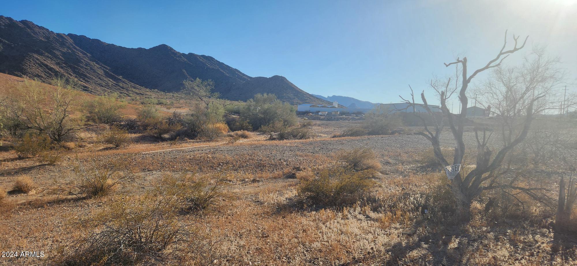1925 Dome Rock Road West Quartzsite, AZ 85346 - Photo 10 of 12 a view of a dry yard with mountains in the background