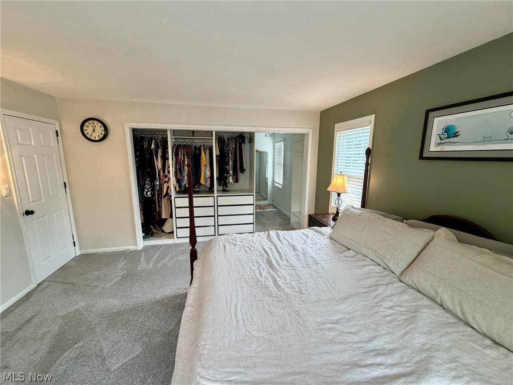 37373 Butternut Ridge Road North Ridgeville, OH 44039 - Photo 15 of 22 Built-in closet organization system with ample storage, soft gray carpeting, and a neutral wall color palette