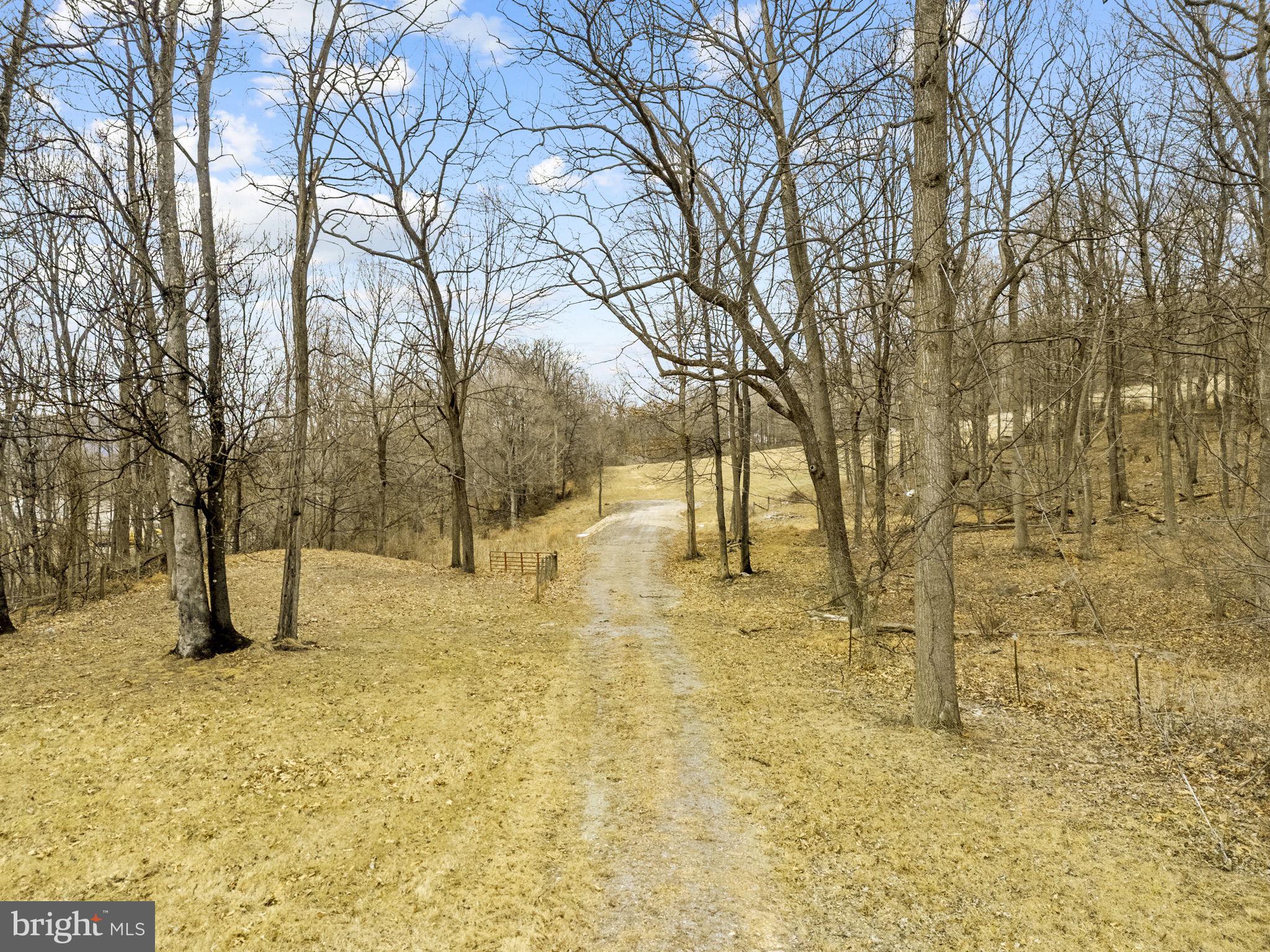 303 Barbeque Drive Berkeley Springs, WV 25411 - Photo 3 of 68