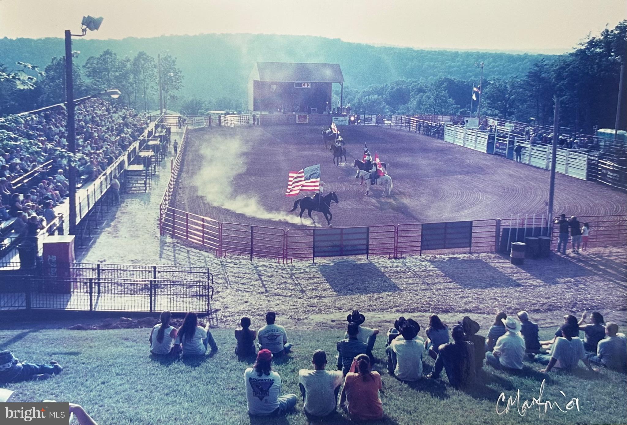 303 Barbeque Drive Berkeley Springs, WV 25411 - Photo 66 of 68 an aerial view of a yard