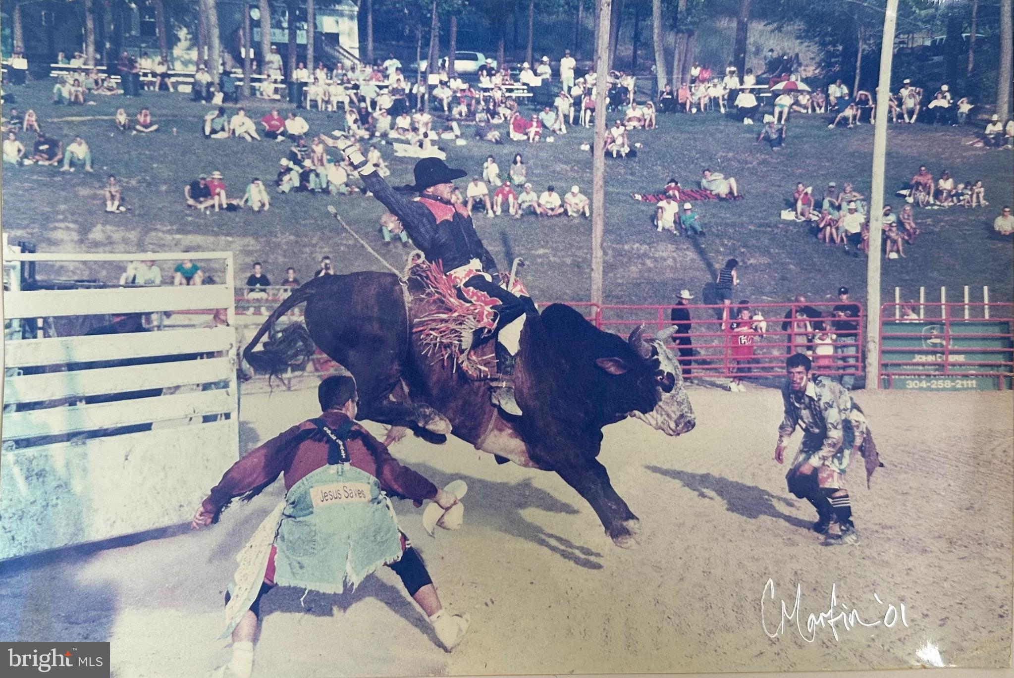 303 Barbeque Drive Berkeley Springs, WV 25411 - Photo 67 of 68 a view of entryway