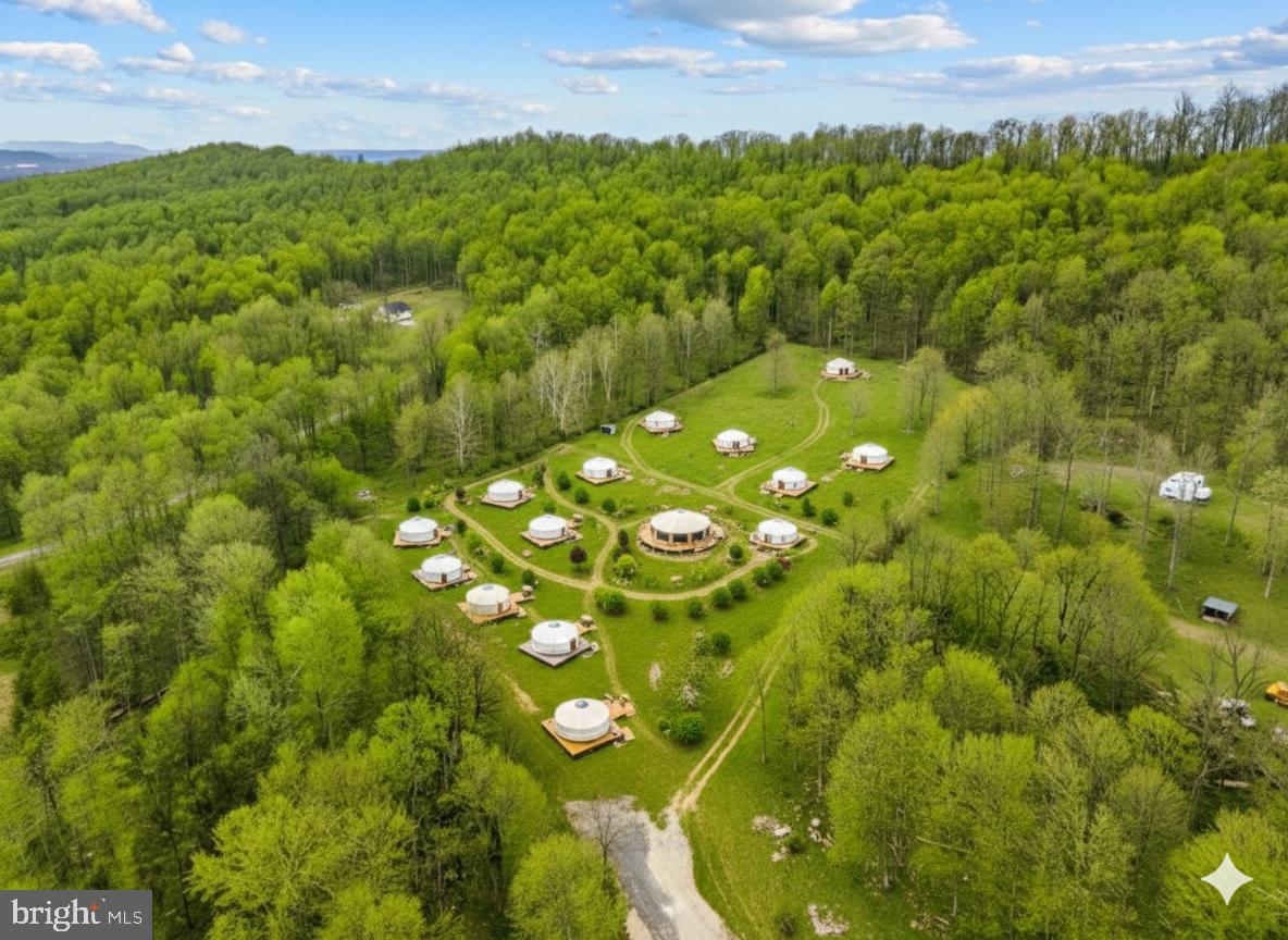 303 Barbeque Drive Berkeley Springs, WV 25411 - Photo 7 of 68 a view of a big yard