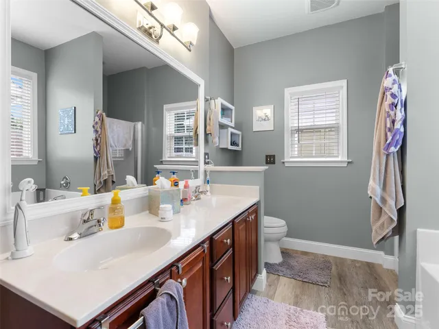 a bathroom with a sink a toilet and a mirror