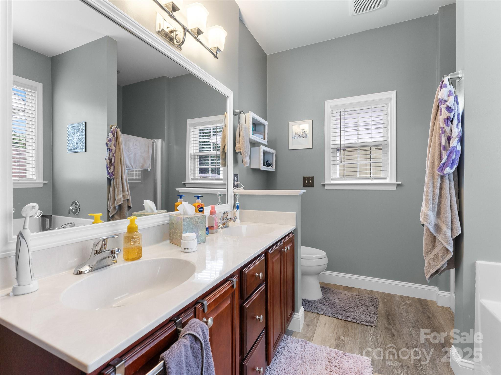 144 Haw River Road Fletcher, NC 28732 - Photo 12 of 31 a bathroom with a sink a toilet and a mirror