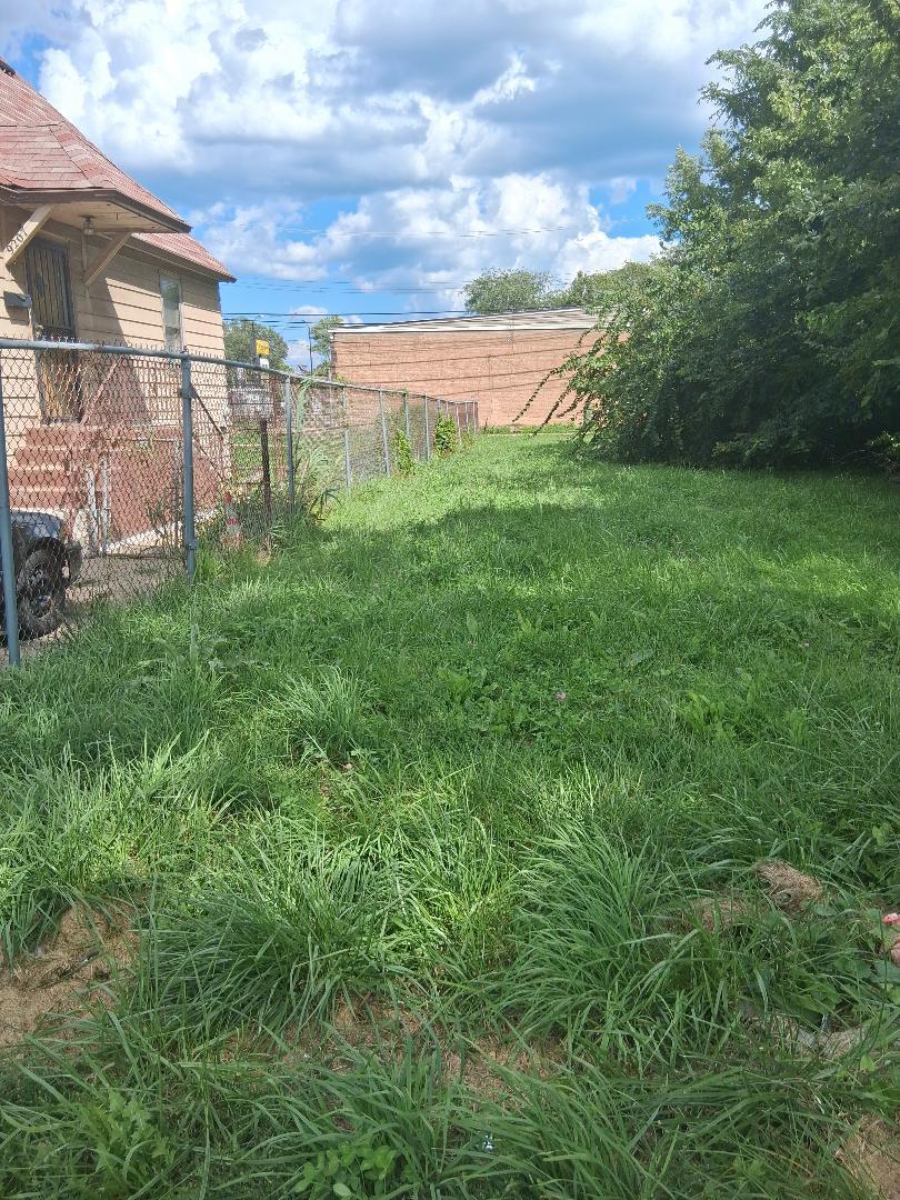 a view of a garden with a building in the background