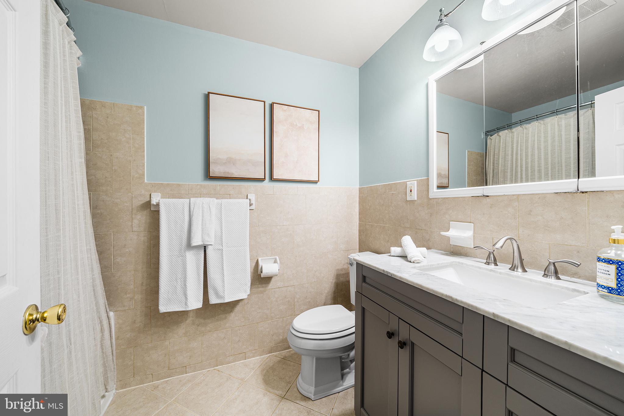 2520 Webster Street Philadelphia, PA 19146 - Photo 15 of 24 a bathroom with a toilet sink and mirror