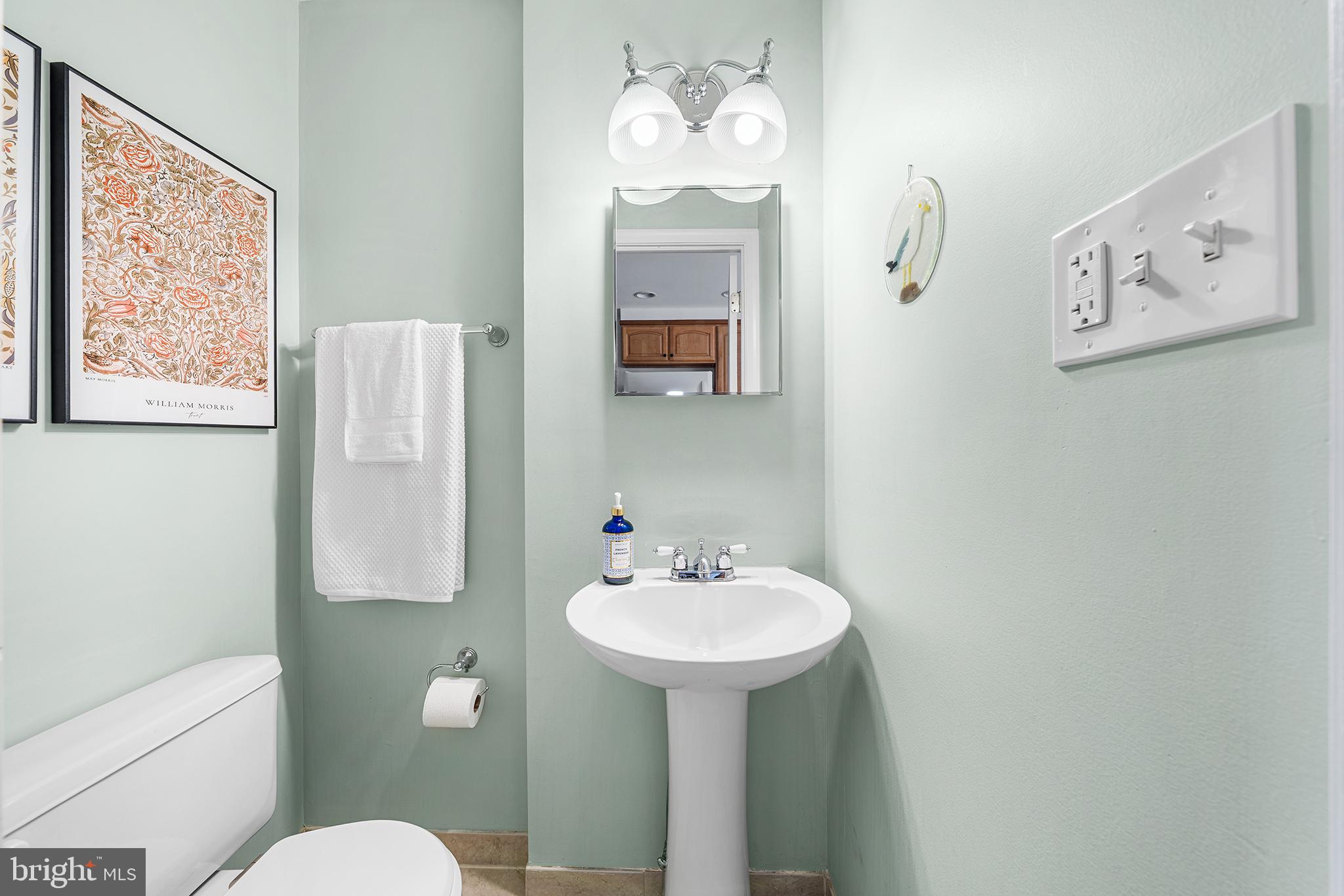 2520 Webster Street Philadelphia, PA 19146 - Photo 9 of 24 a bathroom with a sink mirror and toilet
