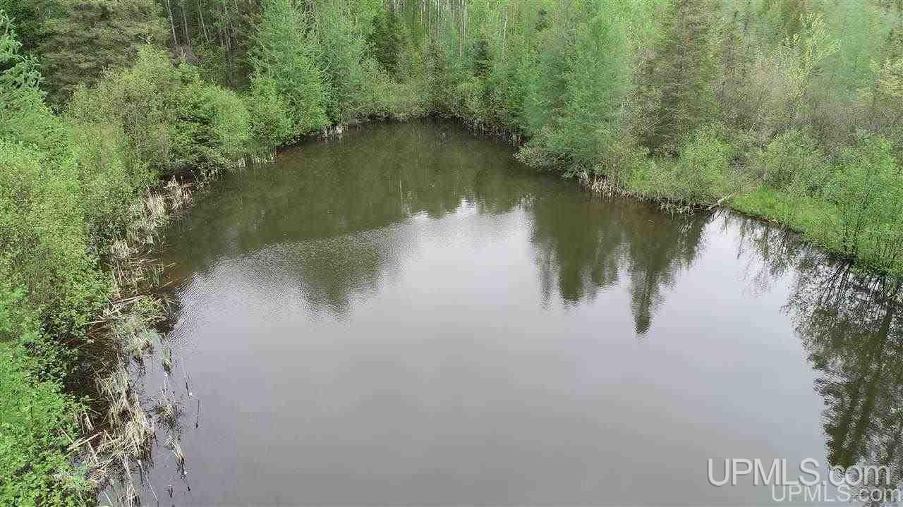 Tbd Off 2240 Road Nahma, MI 49864 - Photo 9 of 20