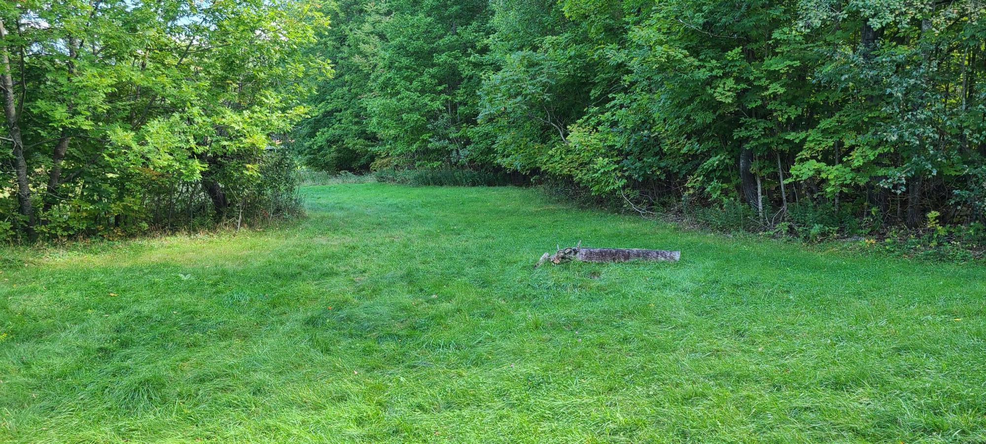 173 Hussey Road Parsonsfield, ME 04047 - Photo 7 of 26 20210921_133426