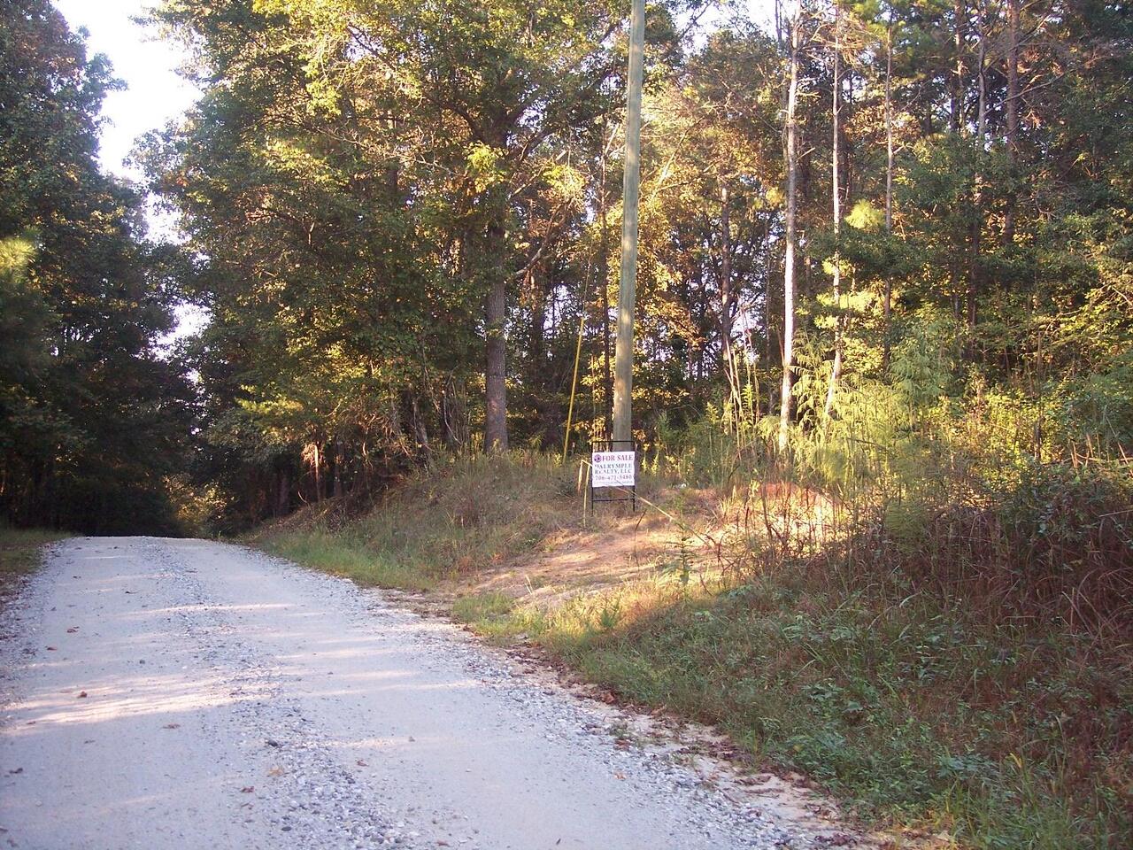0 Payne Road Carnesville, GA 30521 - Photo 1 of 1