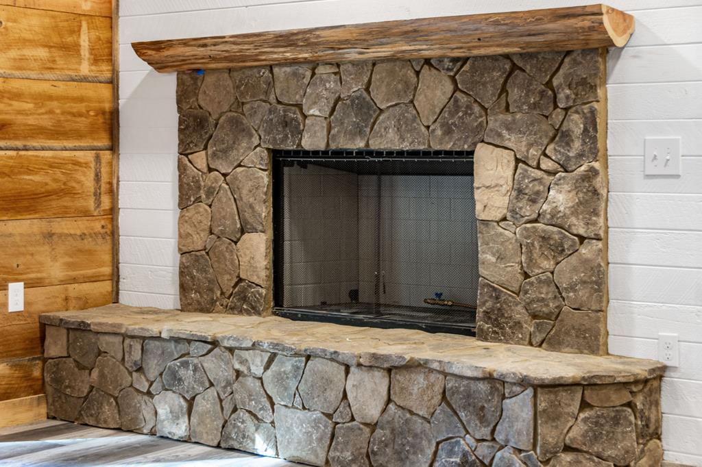 110 Pigeon Creek Road Blue Ridge, GA 30513 - Photo 31 of 64 Gallery Image 31