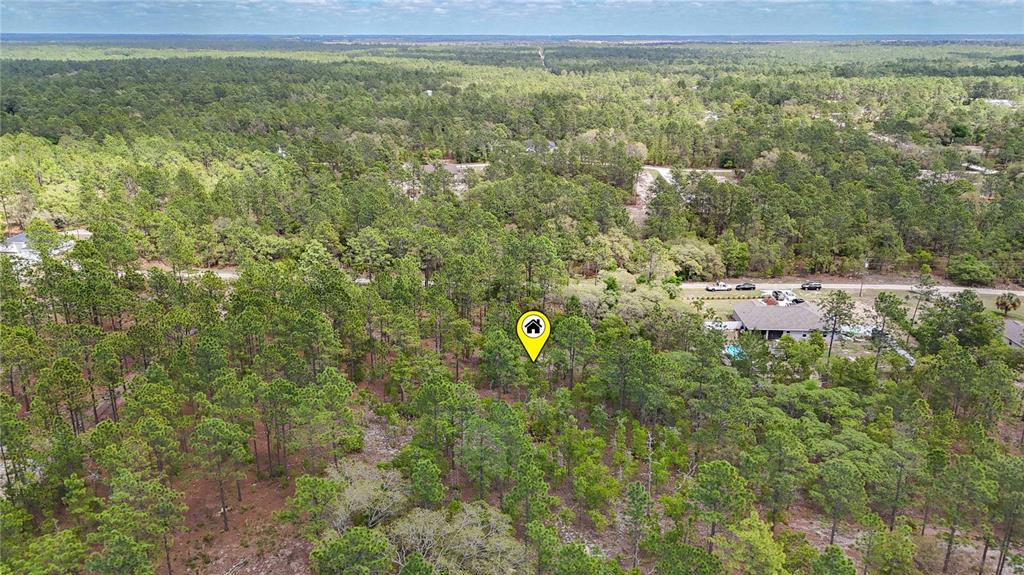 Tbd Southwest 137th Ct Road Dunnellon, FL 34432 - Photo 10 of 19